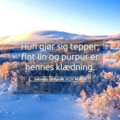 Picture 05 - Salomos Ordspråk 31:22 NORSK - Hun gjør sig tepper; fint lin og purpur er - Bible Verse Picture