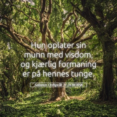 Picture 05 - Salomos Ordspråk 31:26 NORSK - Hun oplater sin munn med visdom, og kjærlig - Bible Verse Picture