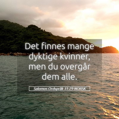 Picture 05 - Salomos Ordspråk 31:29 NORSK - Det finnes mange dyktige kvinner, men du overgår - Bible Verse Picture
