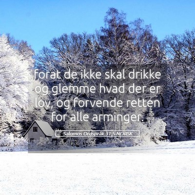 Picture 05 - Salomos Ordspråk 31:5 NORSK - forat de ikke skal drikke og glemme hvad der er - Bible Verse Picture