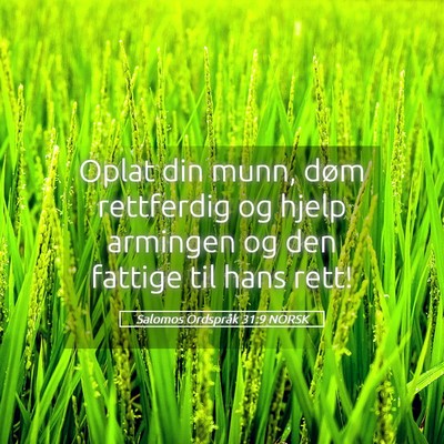 Picture 05 - Salomos Ordspråk 31:9 NORSK - Oplat din munn, døm rettferdig og hjelp armingen - Bible Verse Picture