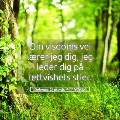 Picture 05 - Salomos Ordspråk 4:11 NORSK - Om visdoms vei lærer jeg dig, jeg leder dig på - Bible Verse Picture