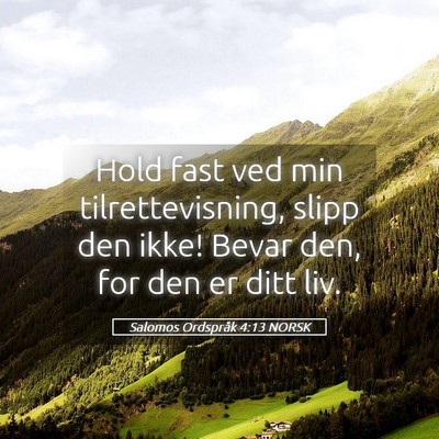 Picture 05 - Salomos Ordspråk 4:13 NORSK - Hold fast ved min tilrettevisning, slipp den - Bible Verse Picture