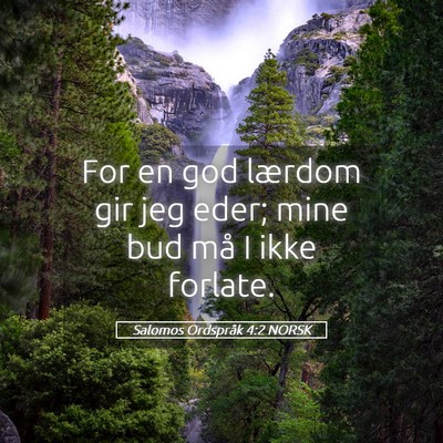 Picture 05 - Salomos Ordspråk 4:2 NORSK - For en god lærdom gir jeg eder; mine bud må I - Bible Verse Picture