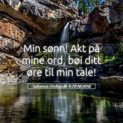Picture 05 - Salomos Ordspråk 4:20 NORSK - Min sønn! Akt på mine ord, bøi ditt øre til - Bible Verse Picture
