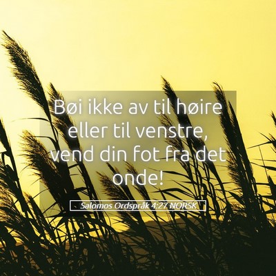 Picture 05 - Salomos Ordspråk 4:27 NORSK - Bøi ikke av til høire eller til venstre, vend - Bible Verse Picture