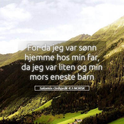 Picture 05 - Salomos Ordspråk 4:3 NORSK - For da jeg var sønn hjemme hos min far, da jeg - Bible Verse Picture