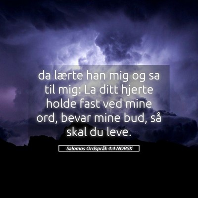 Picture 05 - Salomos Ordspråk 4:4 NORSK - da lærte han mig og sa til mig: La ditt hjerte - Bible Verse Picture