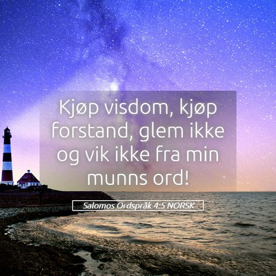 Picture 05 - Salomos Ordspråk 4:5 NORSK - Kjøp visdom, kjøp forstand, glem ikke og vik - Bible Verse Picture