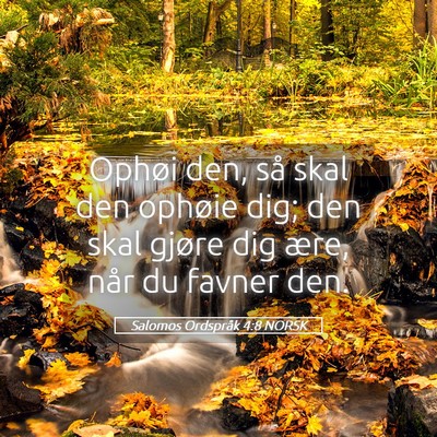 Picture 05 - Salomos Ordspråk 4:8 NORSK - Ophøi den, så skal den ophøie dig; den skal - Bible Verse Picture