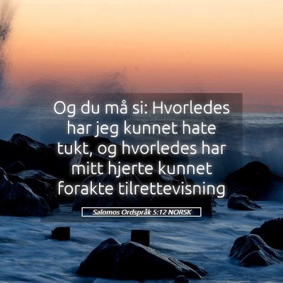 Picture 05 - Salomos Ordspråk 5:12 NORSK - Og du må si: Hvorledes har jeg kunnet hate tukt, - Bible Verse Picture
