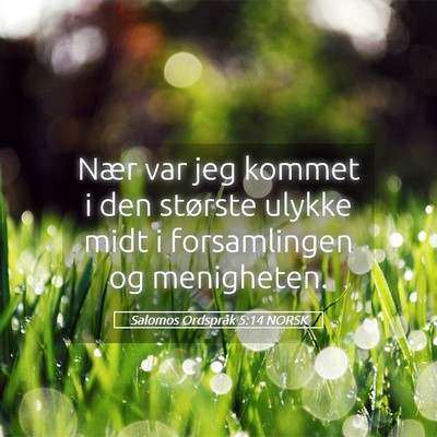 Picture 05 - Salomos Ordspråk 5:14 NORSK - Nær var jeg kommet i den største ulykke midt i - Bible Verse Picture