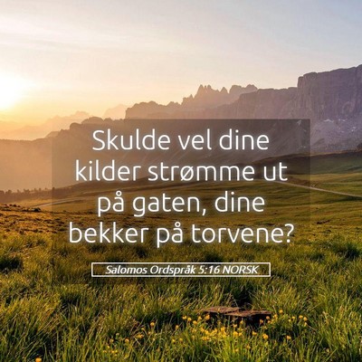 Picture 05 - Salomos Ordspråk 5:16 NORSK - Skulde vel dine kilder strømme ut på gaten, - Bible Verse Picture