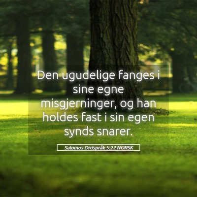 Picture 05 - Salomos Ordspråk 5:22 NORSK - Den ugudelige fanges i sine egne misgjerninger, - Bible Verse Picture
