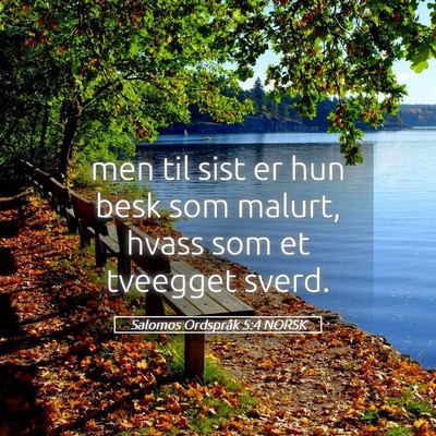 Picture 05 - Salomos Ordspråk 5:4 NORSK - men til sist er hun besk som malurt, hvass som et - Bible Verse Picture