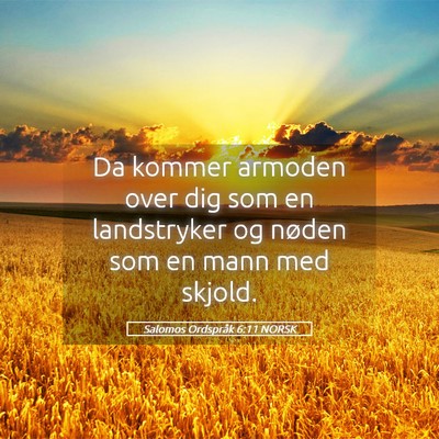 Picture 05 - Salomos Ordspråk 6:11 NORSK - Da kommer armoden over dig som en landstryker og - Bible Verse Picture
