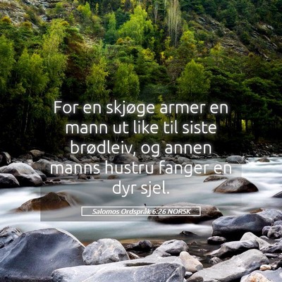 Picture 05 - Salomos Ordspråk 6:26 NORSK - For en skjøge armer en mann ut like til siste - Bible Verse Picture