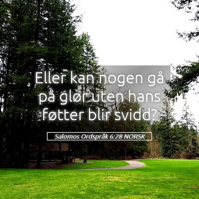Picture 05 - Salomos Ordspråk 6:28 NORSK - Eller kan nogen gå på glør uten hans føtter - Bible Verse Picture