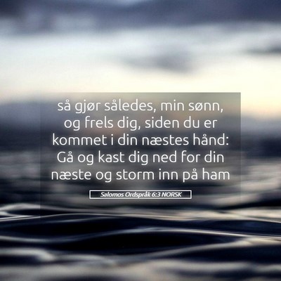 Picture 05 - Salomos Ordspråk 6:3 NORSK - så gjør således, min sønn, og frels dig, - Bible Verse Picture