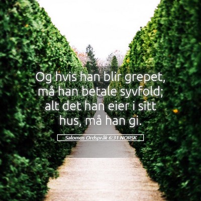 Picture 05 - Salomos Ordspråk 6:31 NORSK - Og hvis han blir grepet, må han betale syvfold; - Bible Verse Picture