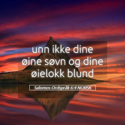 Picture 05 - Salomos Ordspråk 6:4 NORSK - unn ikke dine øine søvn og dine øielokk - Bible Verse Picture