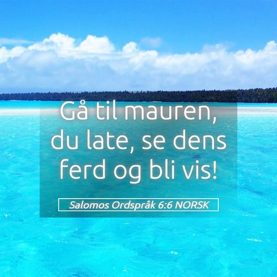 Picture 05 - Salomos Ordspråk 6:6 NORSK - Gå til mauren, du late, se dens ferd og bli - Bible Verse Picture