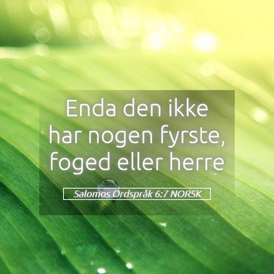 Picture 05 - Salomos Ordspråk 6:7 NORSK - Enda den ikke har nogen fyrste, foged eller - Bible Verse Picture