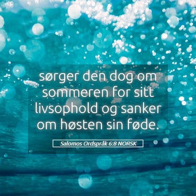 Picture 05 - Salomos Ordspråk 6:8 NORSK - sørger den dog om sommeren for sitt livsophold - Bible Verse Picture