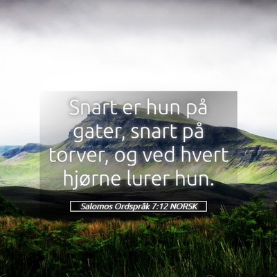 Picture 05 - Salomos Ordspråk 7:12 NORSK - Snart er hun på gater, snart på torver, og ved - Bible Verse Picture