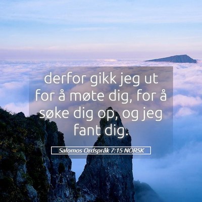 Picture 05 - Salomos Ordspråk 7:15 NORSK - derfor gikk jeg ut for å møte dig, for å søke - Bible Verse Picture