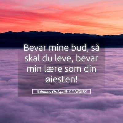 Picture 05 - Salomos Ordspråk 7:2 NORSK - Bevar mine bud, så skal du leve, bevar min lære - Bible Verse Picture