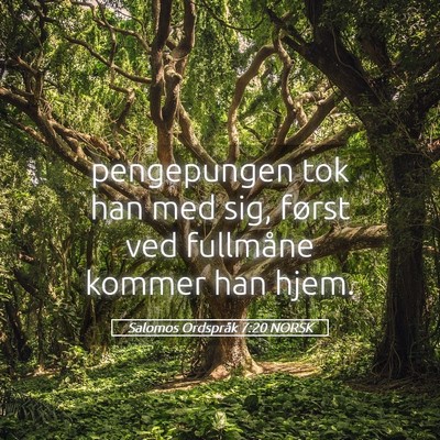 Picture 05 - Salomos Ordspråk 7:20 NORSK - pengepungen tok han med sig, først ved fullmåne - Bible Verse Picture