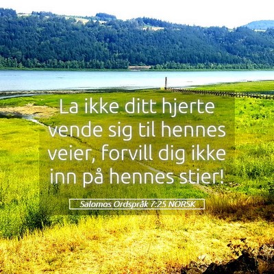 Picture 05 - Salomos Ordspråk 7:25 NORSK - La ikke ditt hjerte vende sig til hennes veier, - Bible Verse Picture