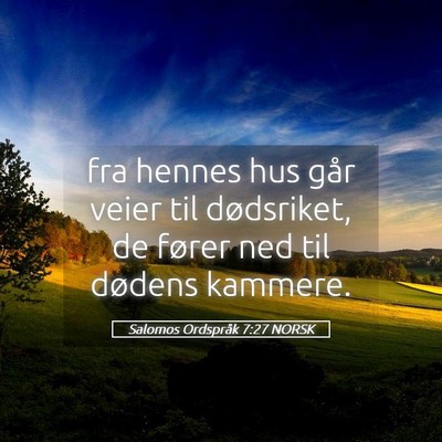 Picture 05 - Salomos Ordspråk 7:27 NORSK - fra hennes hus går veier til dødsriket, de - Bible Verse Picture