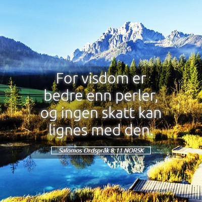 Picture 05 - Salomos Ordspråk 8:11 NORSK - For visdom er bedre enn perler, og ingen skatt - Bible Verse Picture