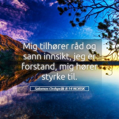 Picture 05 - Salomos Ordspråk 8:14 NORSK - Mig tilhører råd og sann innsikt, jeg er - Bible Verse Picture