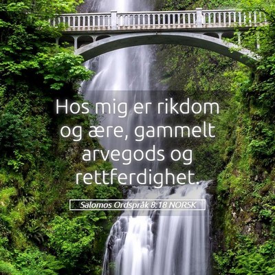 Picture 05 - Salomos Ordspråk 8:18 NORSK - Hos mig er rikdom og ære, gammelt arvegods og - Bible Verse Picture