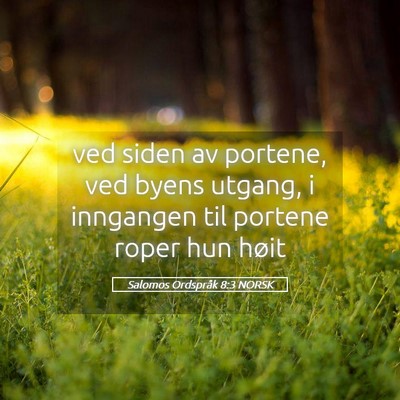 Picture 05 - Salomos Ordspråk 8:3 NORSK - ved siden av portene, ved byens utgang, i - Bible Verse Picture
