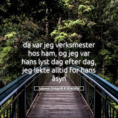 Picture 05 - Salomos Ordspråk 8:30 NORSK - da var jeg verksmester hos ham, og jeg var hans - Bible Verse Picture