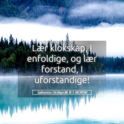 Picture 05 - Salomos Ordspråk 8:5 NORSK - Lær klokskap, I enfoldige, og lær forstand, I - Bible Verse Picture