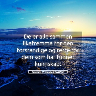 Picture 05 - Salomos Ordspråk 8:9 NORSK - De er alle sammen likefremme for den forstandige - Bible Verse Picture