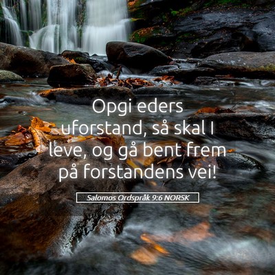 Picture 05 - Salomos Ordspråk 9:6 NORSK - Opgi eders uforstand, så skal I leve, og gå - Bible Verse Picture