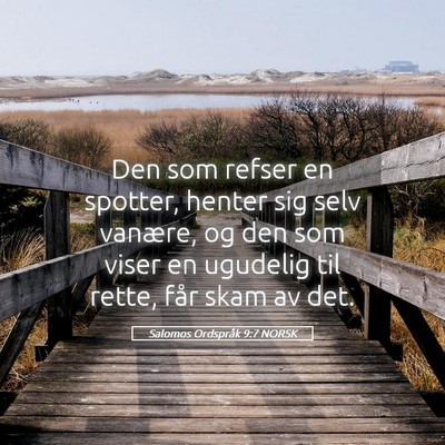Picture 05 - Salomos Ordspråk 9:7 NORSK - Den som refser en spotter, henter sig selv - Bible Verse Picture