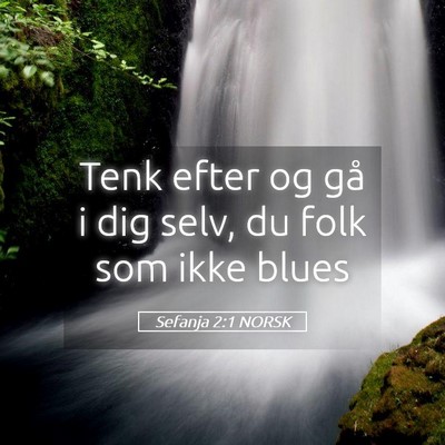 Picture 05 - Sefanja 2:1 NORSK - Tenk efter og gå i dig selv, du folk som ikke - Bible Verse Picture