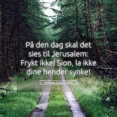 Picture 05 - Sefanja 3:16 NORSK - På den dag skal det sies til Jerusalem: Frykt - Bible Verse Picture