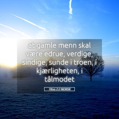 Picture 05 - Titus 2:2 NORSK - at gamle menn skal være edrue, verdige, sindige, - Bible Verse Picture