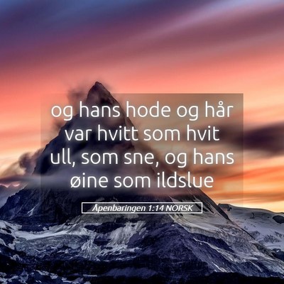 Picture 05 - Åpenbaringen 1:14 NORSK - og hans hode og hår var hvitt som hvit ull, som - Bible Verse Picture