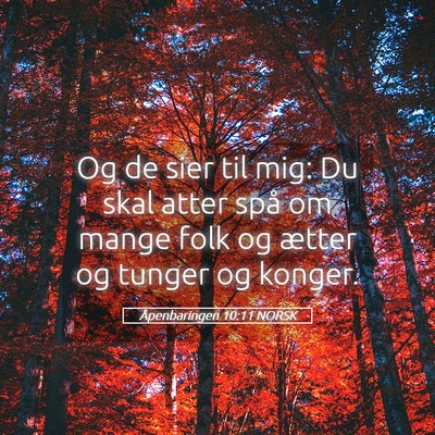 Picture 05 - Åpenbaringen 10:11 NORSK - Og de sier til mig: Du skal atter spå om mange - Bible Verse Picture
