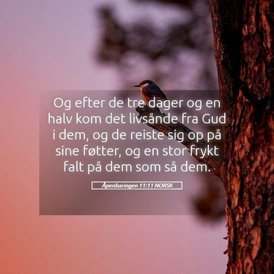Picture 05 - Åpenbaringen 11:11 NORSK - Og efter de tre dager og en halv kom det - Bible Verse Picture