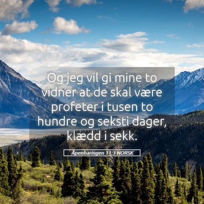 Picture 05 - Åpenbaringen 11:3 NORSK - Og jeg vil gi mine to vidner at de skal være - Bible Verse Picture